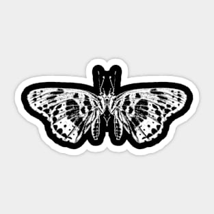 Butterfly Sticker